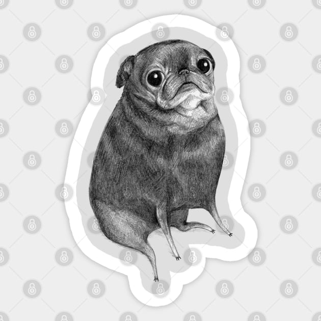 Sweet Black Pug Sticker by Sophie Corrigan